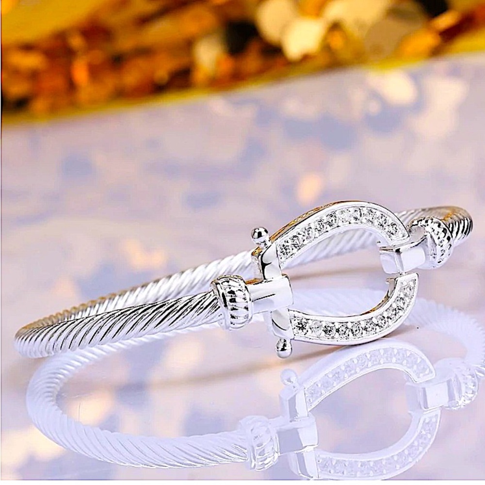 Sterling Silver Horseshoe Design Zircon Twisted Bangle Bracelet - Picture 5 of 13